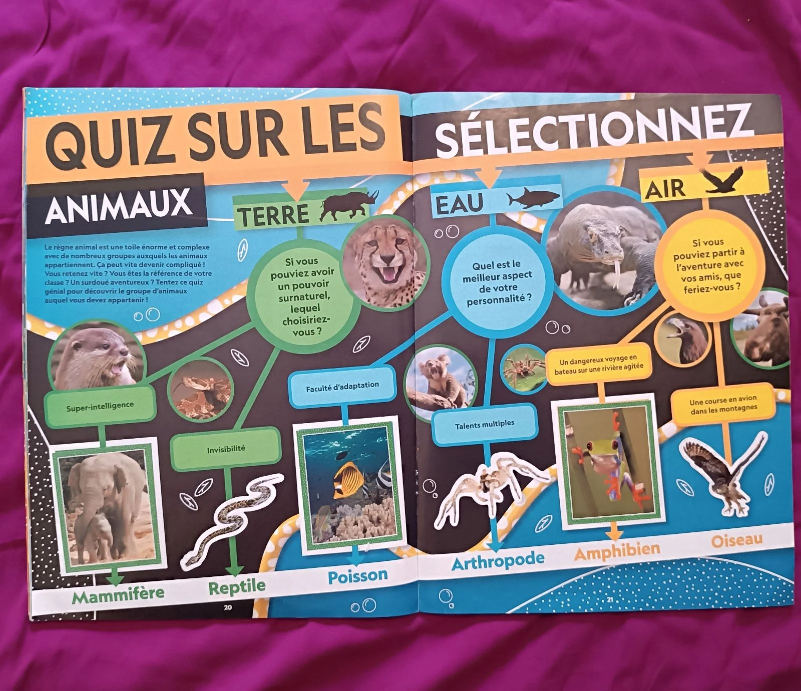 National Geographic Kids Animals Topps – photo 4